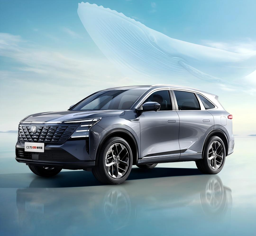 中国人保携手四平市华业汽车购车团购会